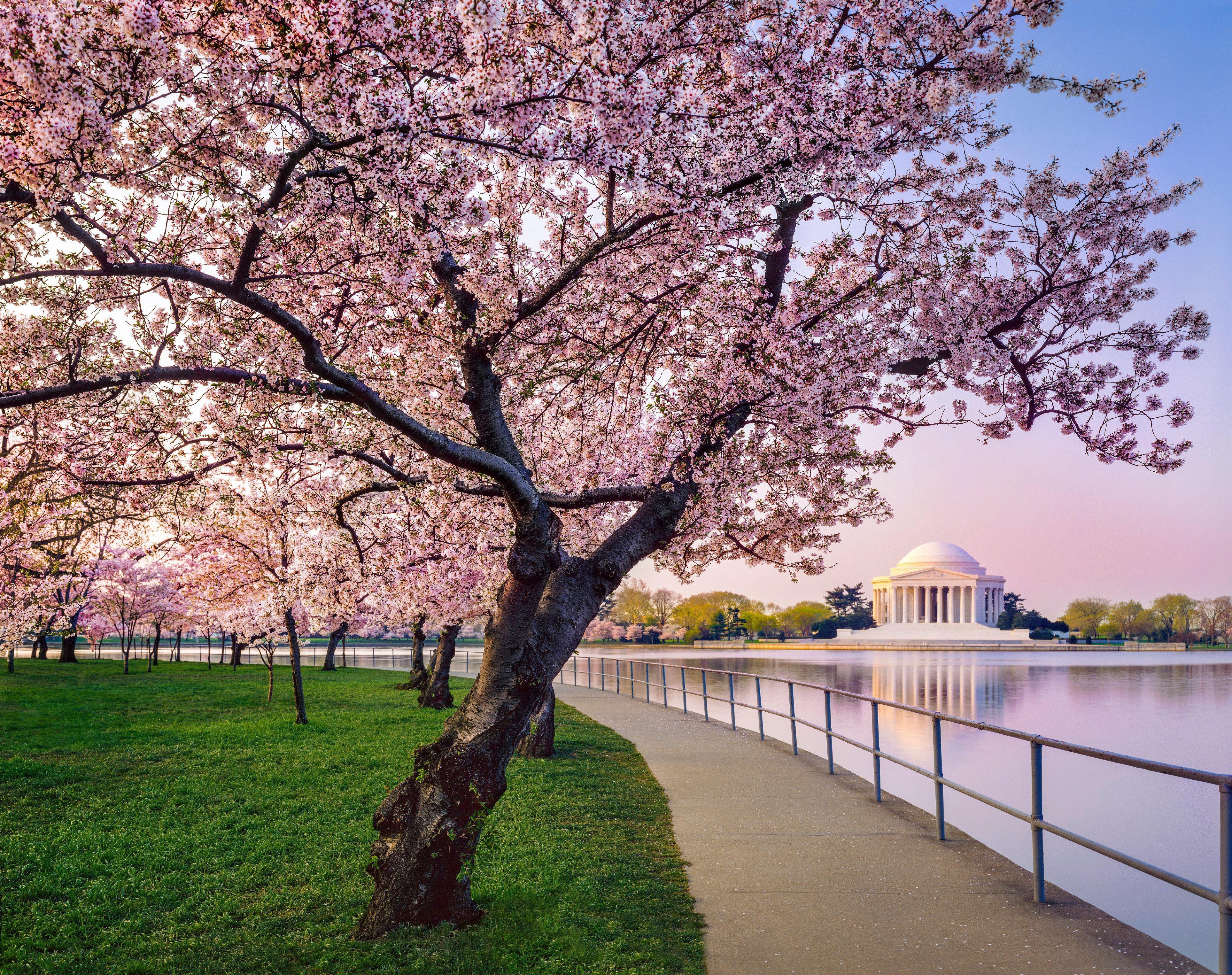 Kimpton Hotel Monaco Washington Dc By Ihg Экстерьер фото